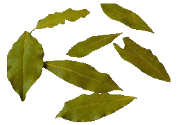 bayleaf