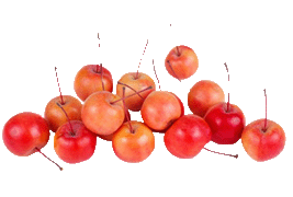 crabapple
