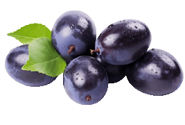 damson