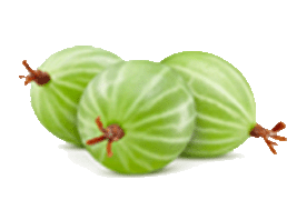 gooseberry