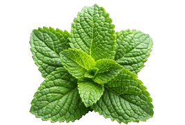 mint