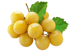 mirabelle