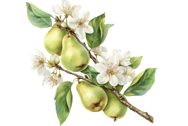 pear