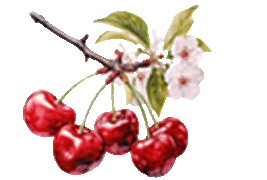 sweetcherry