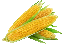 sweetcorn