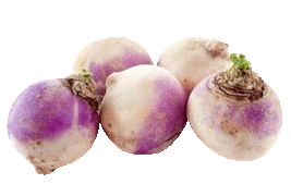 turnip